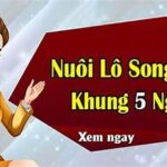 Song thủ khung 5 ngày rồng bạch kim