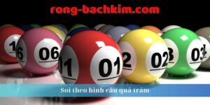 bạch thủ hình quả trám