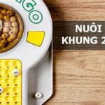 Lô kép khung 2 ngày rồng bạch kim