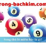 Song thủ lô chuẩn rồng bạch kim