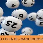 Phương pháp nuôi lô song thủ hiệu quả nhất