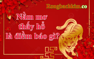 nằm mơ thấy hổ