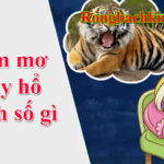 Nằm mơ thấy hổ đánh số gì