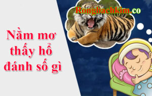nằm mơ thấy hổ đánh số gì