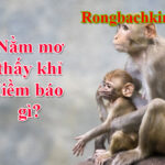 Nằm mơ thấy khỉ đánh số gì