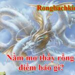 Nằm mơ thấy rồng đánh số gì 