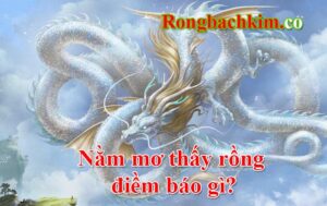 nằm mơ thấy rồng