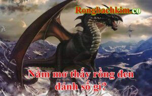 Nằm mơ thấy rồng đen