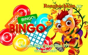 Soi cầu Rồng Bạch Kim 777 theo xác suất