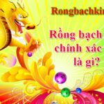 Rồng Bạch Kim Chính Xác 100