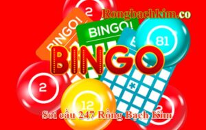 soi cầu 247 rồng bạch kim