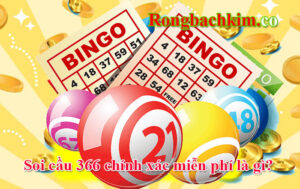 soi cầu 366 chính xác là gì