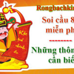 Soi cầu 88 miễn phí