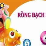 Hé lộ cách chơi dàn đề 50 số rồng bạch kim chính xác